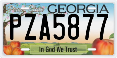 GA license plate PZA5877
