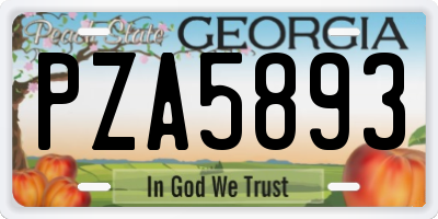 GA license plate PZA5893