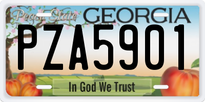 GA license plate PZA5901