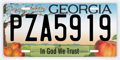 GA license plate PZA5919