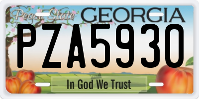 GA license plate PZA5930