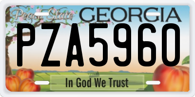 GA license plate PZA5960