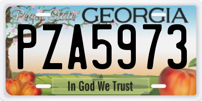 GA license plate PZA5973