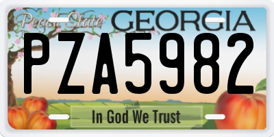 GA license plate PZA5982