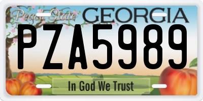 GA license plate PZA5989