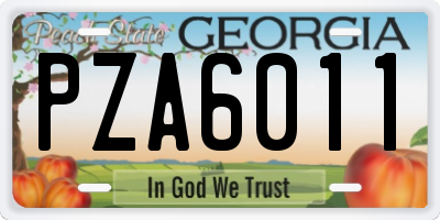 GA license plate PZA6011