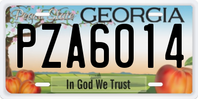 GA license plate PZA6014