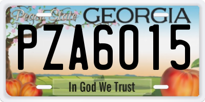GA license plate PZA6015