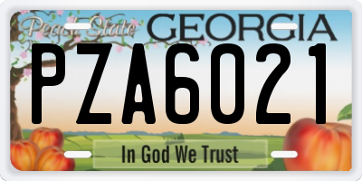 GA license plate PZA6021