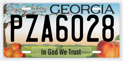 GA license plate PZA6028