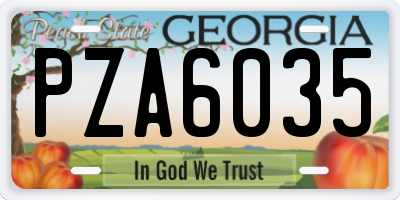 GA license plate PZA6035