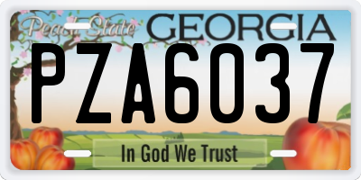 GA license plate PZA6037