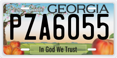 GA license plate PZA6055