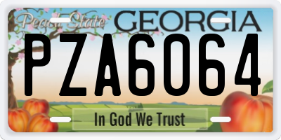 GA license plate PZA6064