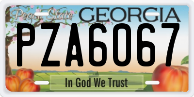 GA license plate PZA6067