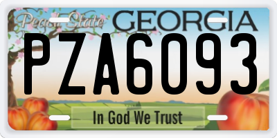 GA license plate PZA6093