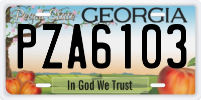 GA license plate PZA6103