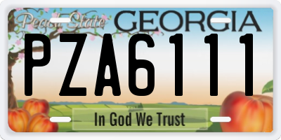 GA license plate PZA6111