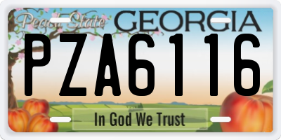 GA license plate PZA6116