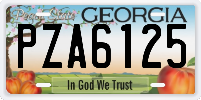 GA license plate PZA6125