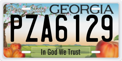 GA license plate PZA6129
