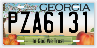 GA license plate PZA6131