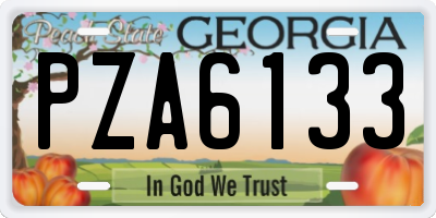 GA license plate PZA6133