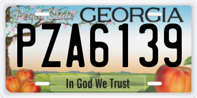 GA license plate PZA6139