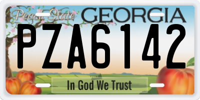 GA license plate PZA6142