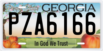 GA license plate PZA6166