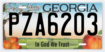 GA license plate PZA6203