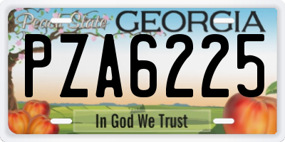 GA license plate PZA6225