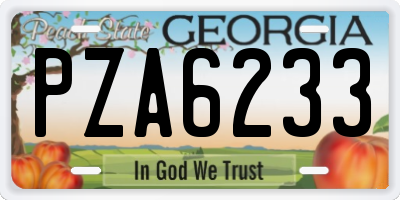 GA license plate PZA6233