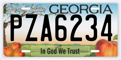 GA license plate PZA6234