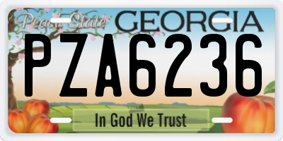 GA license plate PZA6236