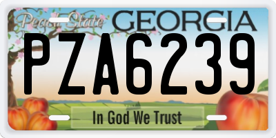 GA license plate PZA6239