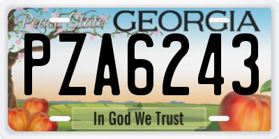 GA license plate PZA6243