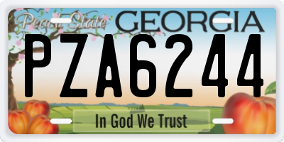 GA license plate PZA6244