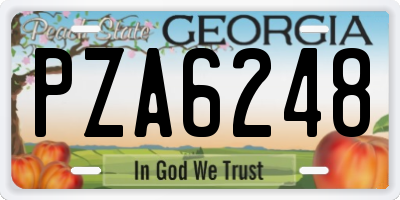 GA license plate PZA6248