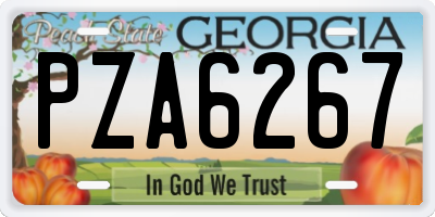 GA license plate PZA6267