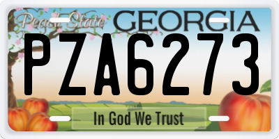 GA license plate PZA6273