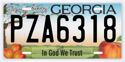 GA license plate PZA6318