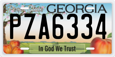 GA license plate PZA6334