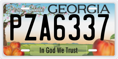 GA license plate PZA6337