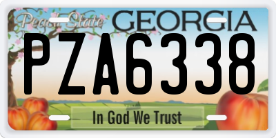 GA license plate PZA6338