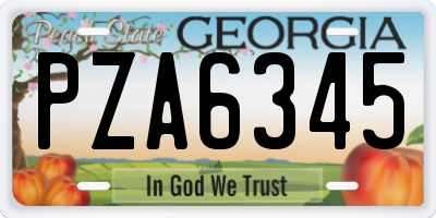 GA license plate PZA6345