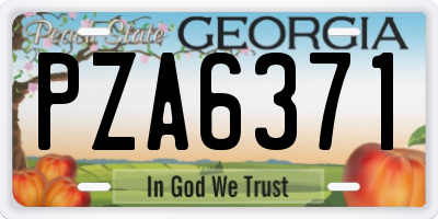GA license plate PZA6371