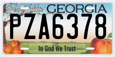 GA license plate PZA6378