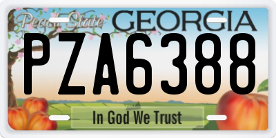 GA license plate PZA6388