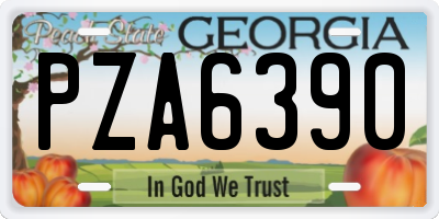 GA license plate PZA6390